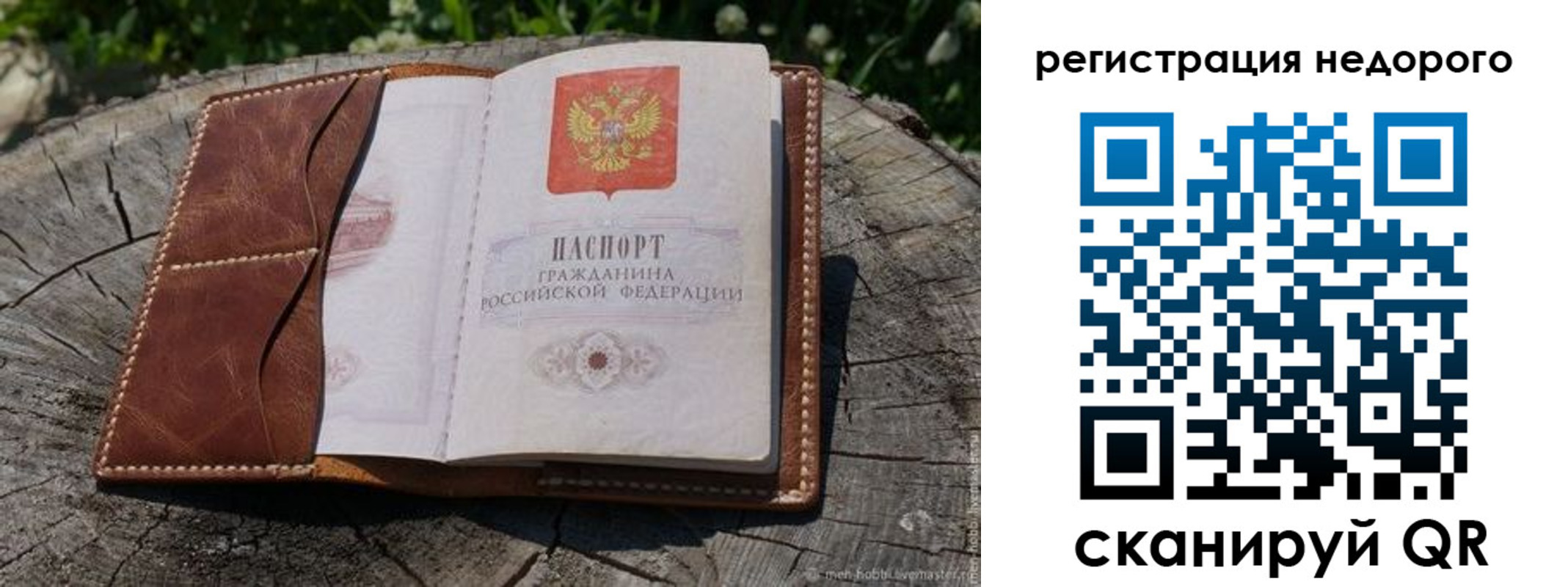 прописка для школы в Сланцах